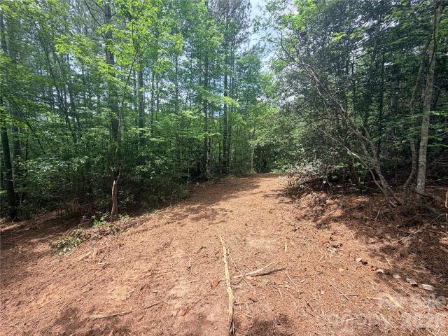 Land for sale in Rutherford, North Carolina