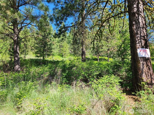 Land for sale in Republic, Washington