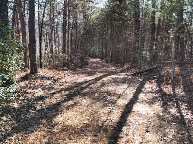 Land for sale in Georgia