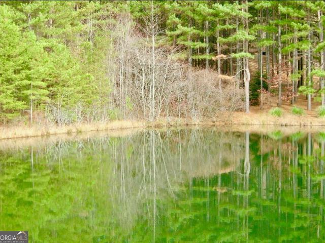 Land for sale in Clarkesville, Georgia