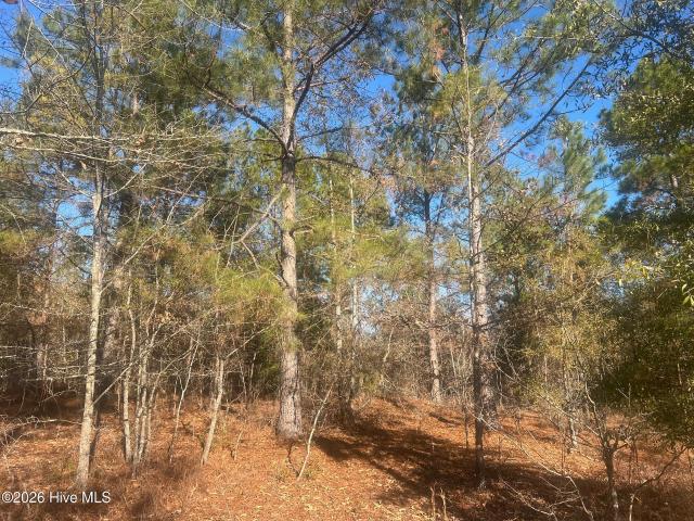 Land for sale in Hephzibah, Burke County