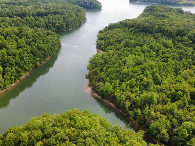 Land for sale in Tennessee