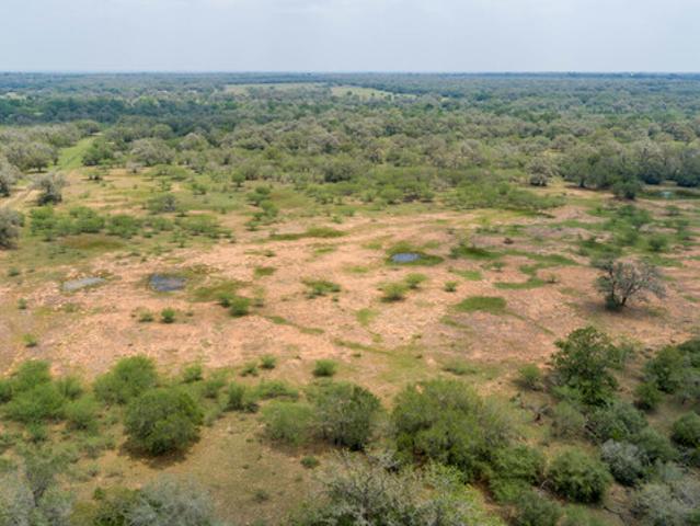 Farm for sale in Dewitt, Texas