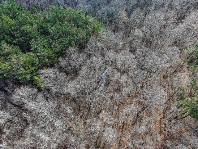 Land for sale in Pontotoc, Pontotoc County