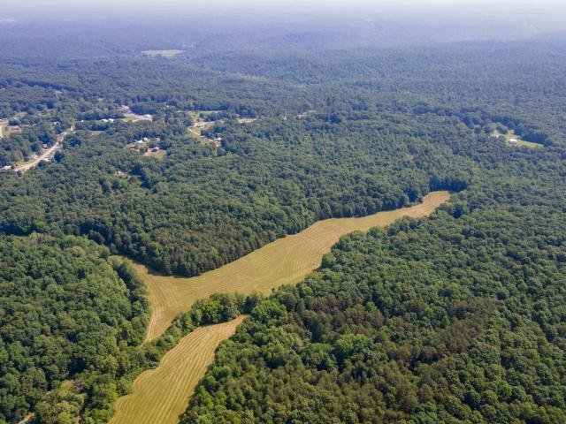 Commercial Land for sale in Nunnelly