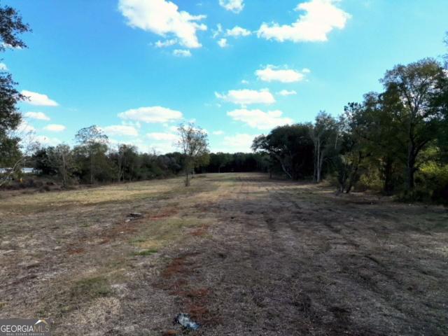 Land for sale in Pelham, Georgia
