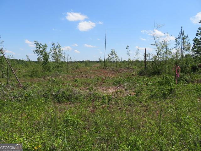Land for sale in Schley, Georgia