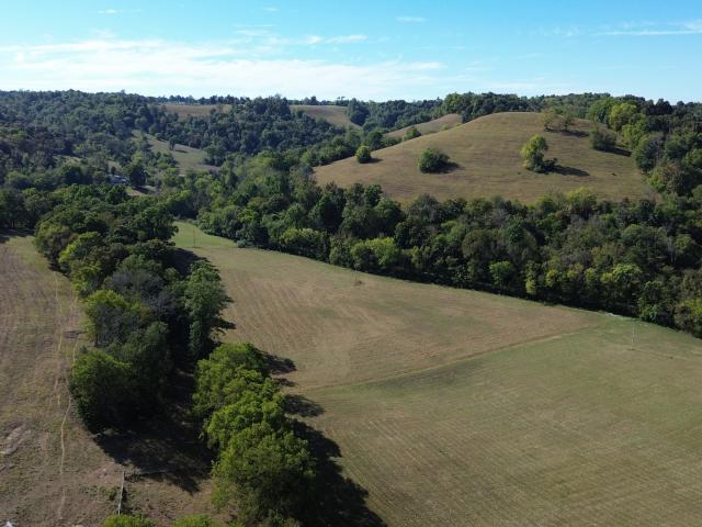 Land for sale in Lois, Lynchburg