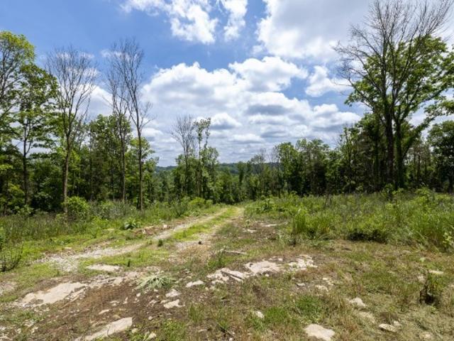 Farm for sale in Tennessee