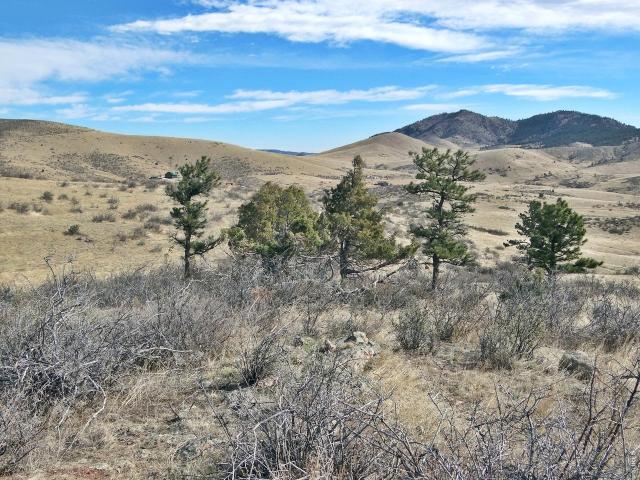 Land for sale in Livermore, Colorado
