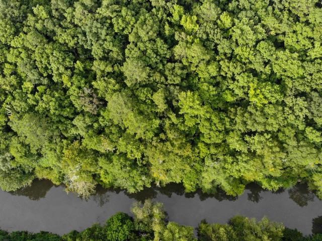 Land for sale in Northport, Tuscaloosa County