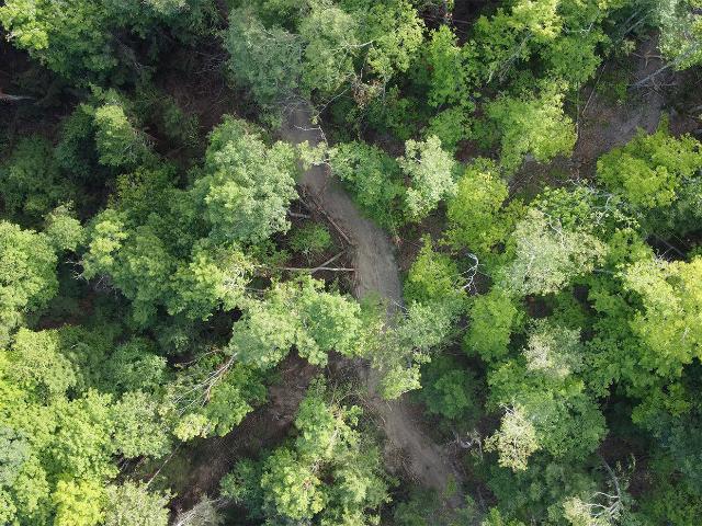 Land for sale in Middleburgh, New York