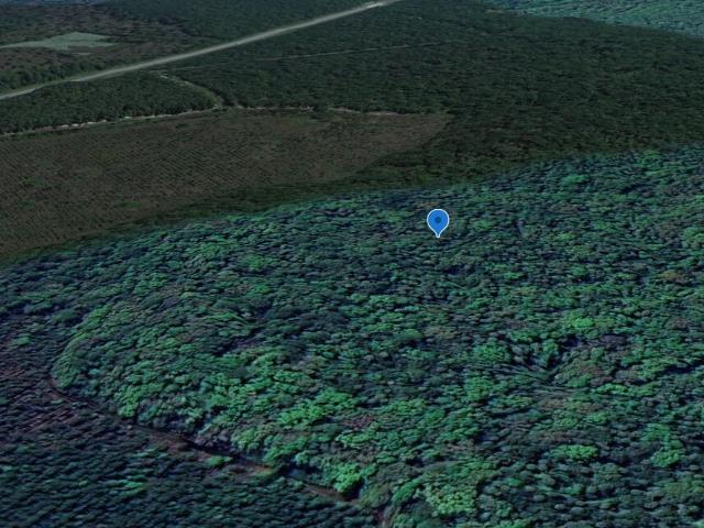 Land for sale in Palatka, Florida
