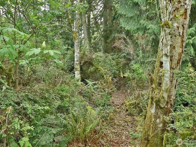 Land for sale in Langley, Washington