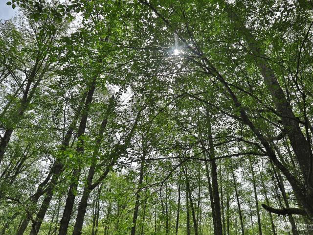 Land for sale in Langley, Washington