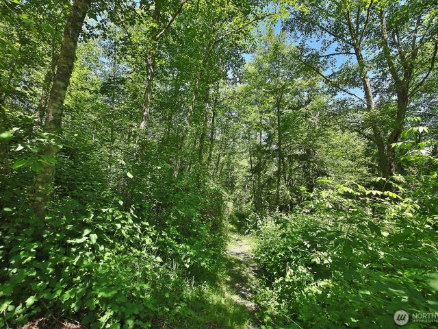 Land for sale in Freeland, Washington