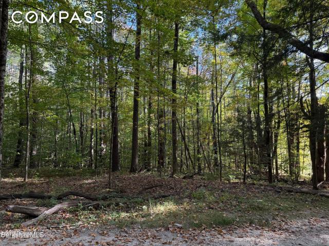 Property for sale in Berkshire, Massachusetts