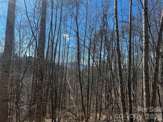 Land for sale in Bakersville, North Carolina