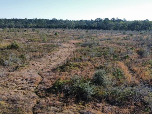 Land for sale in Glennville, Georgia