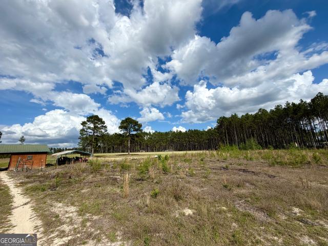Land for sale in Cadwell, Georgia
