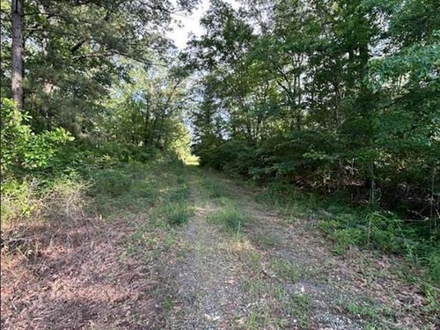 Land for sale in De Soto, Louisiana