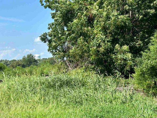 Land for sale in Ark