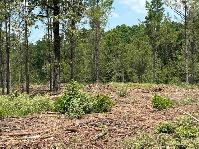 Land for sale in Sheridan