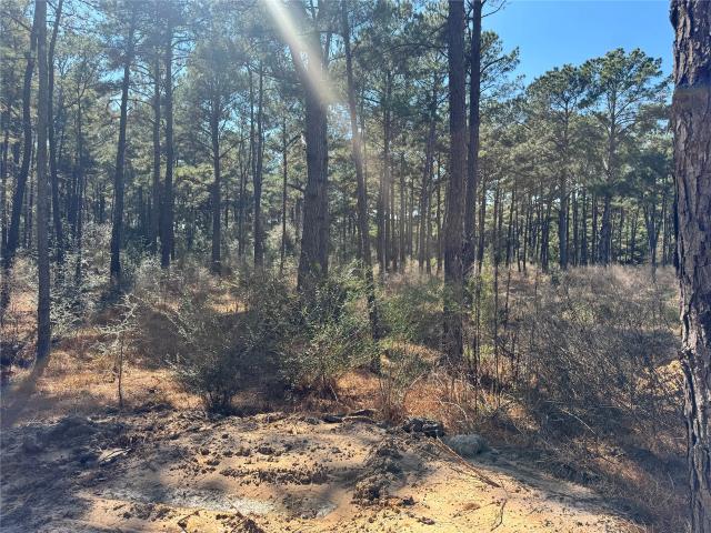 Land for sale in Harris, Texas
