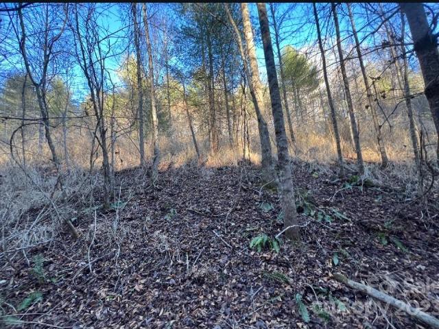 Land for sale in Marshall, North Carolina