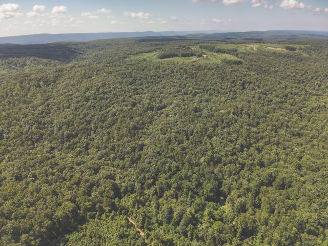Farm for sale in Tennessee