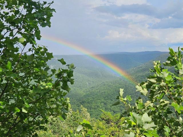 Land for sale in Tennessee