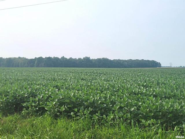 Land for sale in Louisville, Illinois