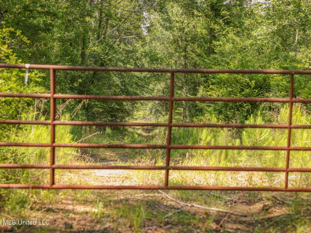 Land for sale in Liberty, Mississippi