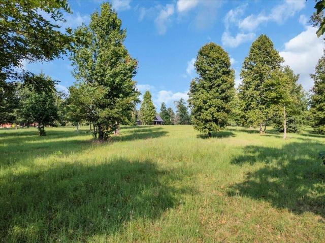 Land for sale in Jasper, East Tennessee