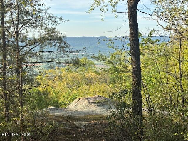 Land for sale in Tennessee