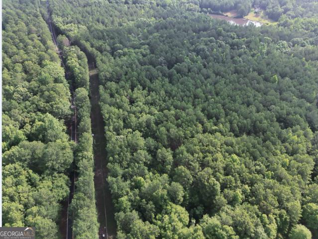 Land for sale in Upson, Georgia
