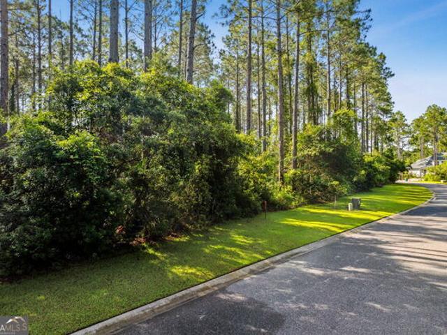 Land for sale in Georgia