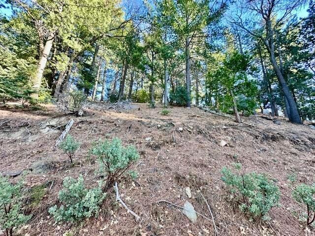 Land for sale in Idyllwild, California