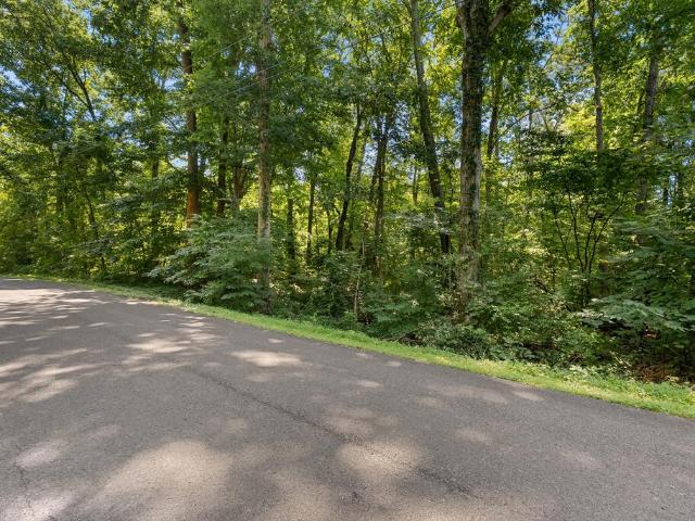 Land for sale in Paris, West Tennessee