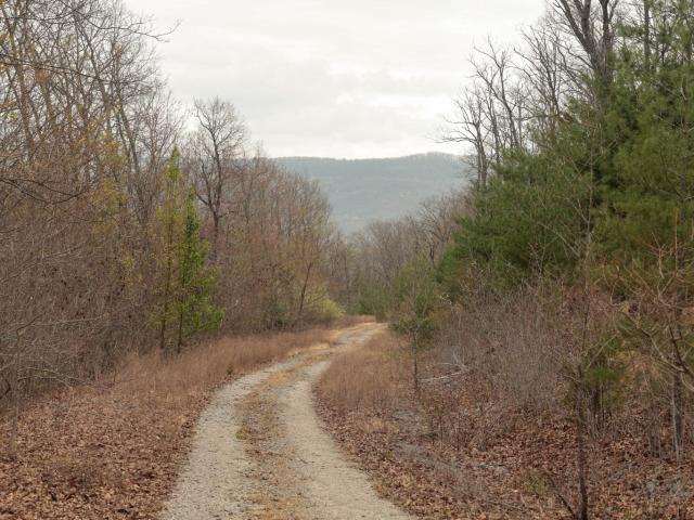 Land for sale in Tennessee