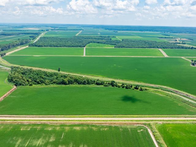 Land for sale in Ark