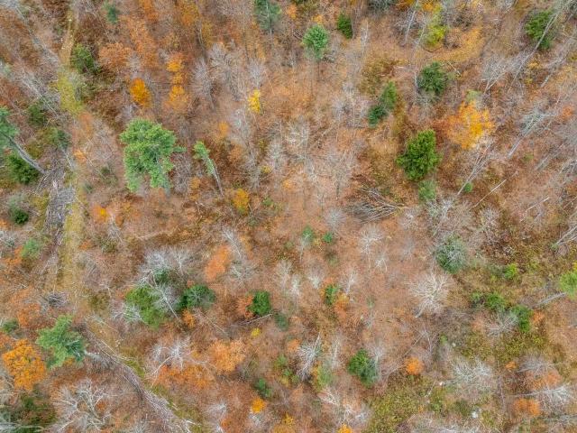 Land for sale in New Hampshire