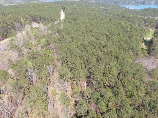 Land for sale in Elbert, Georgia