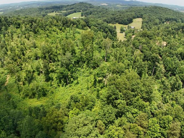 Land for sale in London
