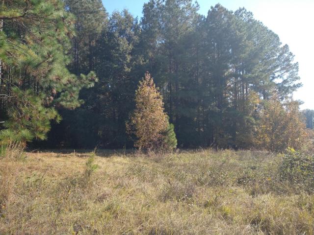 Commercial for sale in Keysville, Georgia