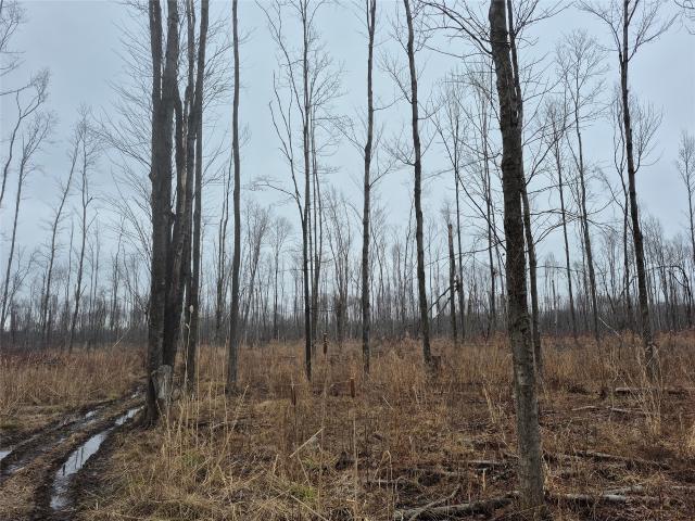 Land for sale in East Springfield, Pennsylvania