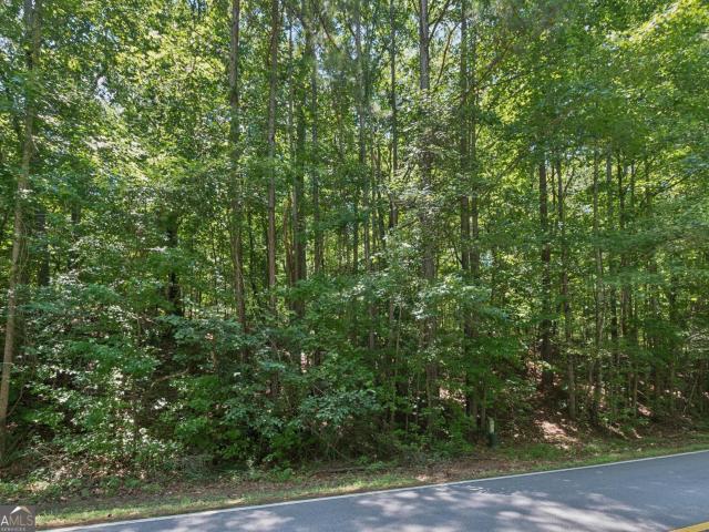 Land for sale in Conyers, Georgia