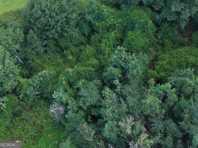 Land for sale in Baxley, Georgia