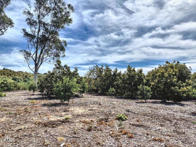 Land for sale in Moorpark, California