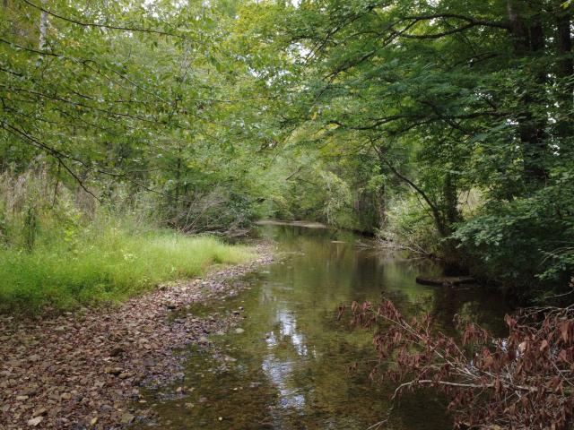 Land for sale in Hohenwald, Middle Tennessee